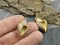 22x14x10mm 18k Plated Brass Micro Pave Cubic Zirconia Conch Shell Charm